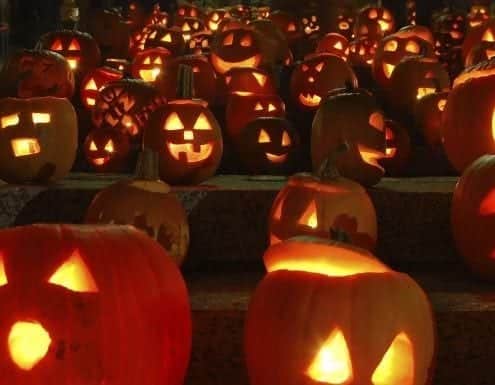 hungry-history-the-halloween-pumpkin-an-american-history-E-495x385 Blog